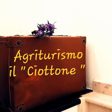 הוילה נוצ'רה אומברה Il Ciottone מראה חיצוני תמונה