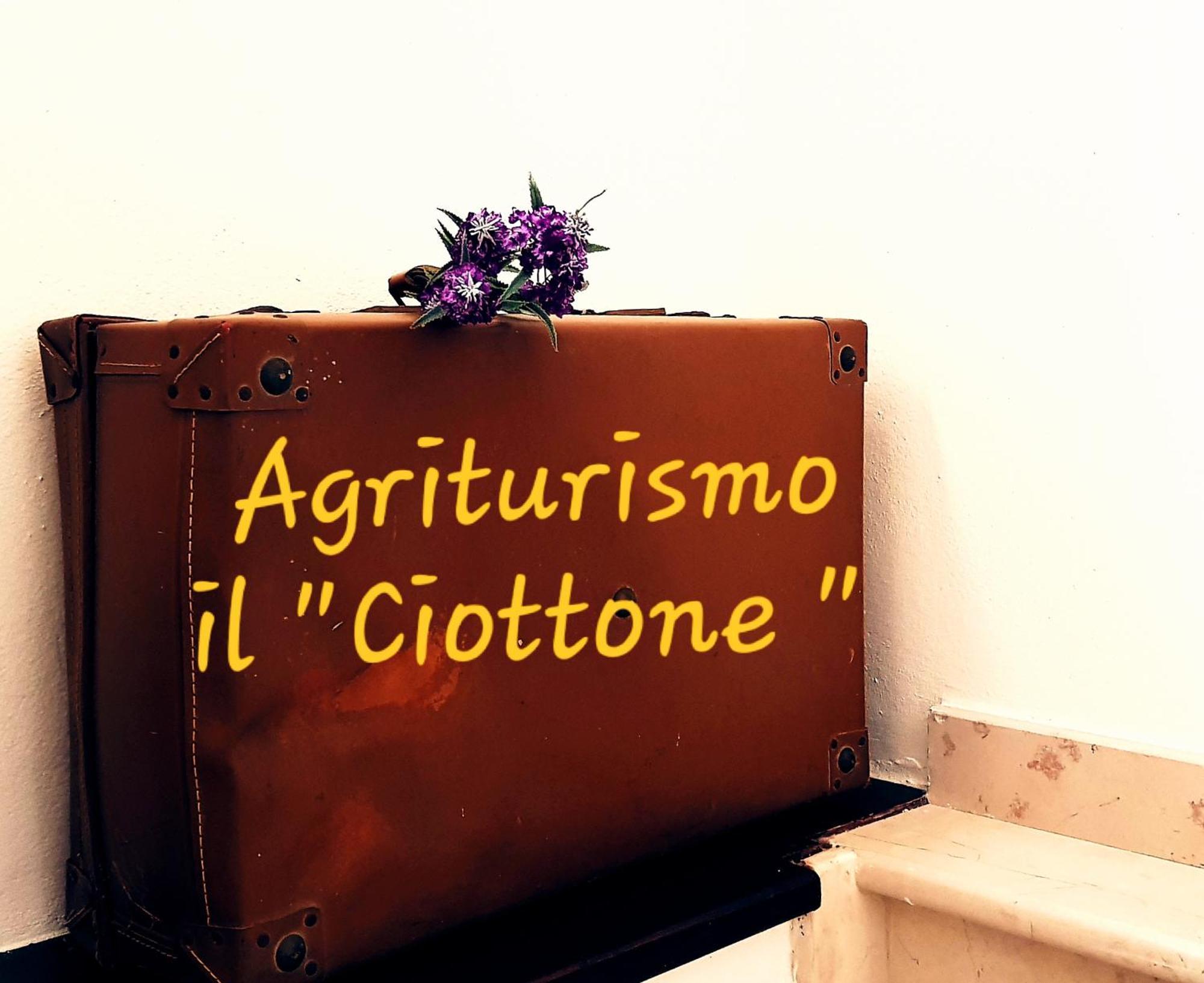הוילה נוצ'רה אומברה Il Ciottone מראה חיצוני תמונה